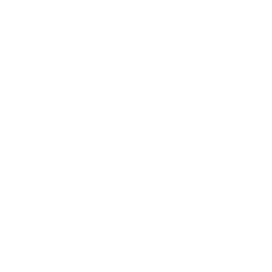 VP